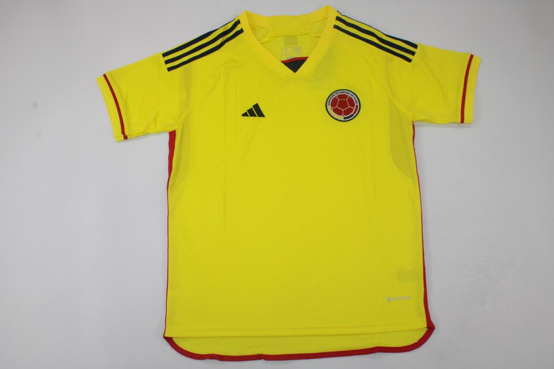 AAA Quality Colombia 2022 World Cup Home Soccer Jersey